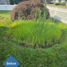 A-Fresh-Start-Planting-Landscape-Design-in-Stratford-CT 3